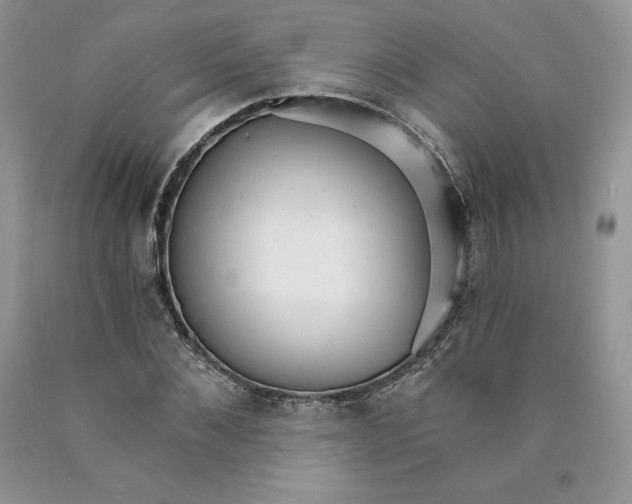 X0000089940876200707271816