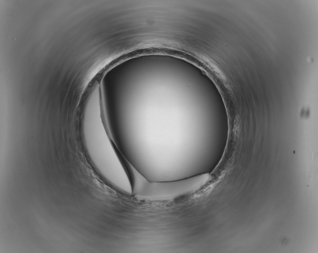 X0000089940877200707271816
