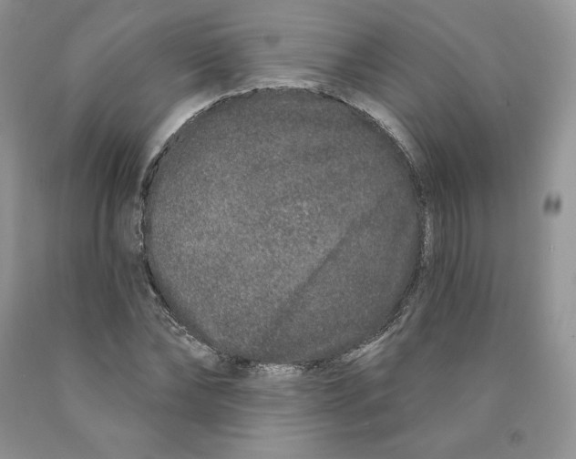 X0000089940878200707271816