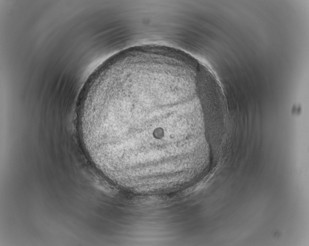 X0000089940879200707271816