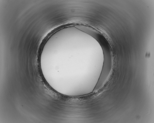 X0000089940880200707271816