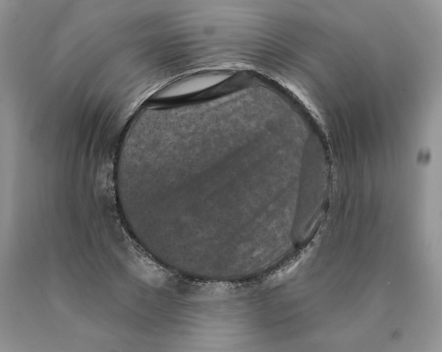 X0000089940881200707271816
