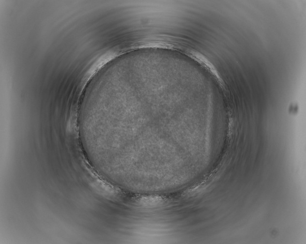 X0000089940882200707271816