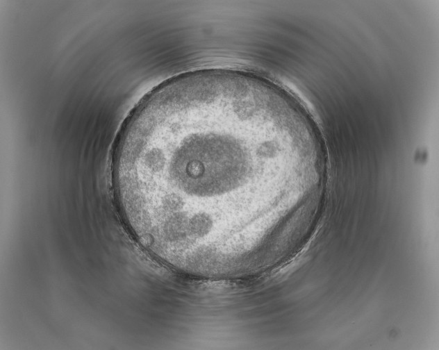 X0000089940883200707271816
