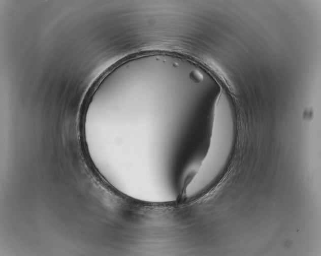 X0000089940884200707271816
