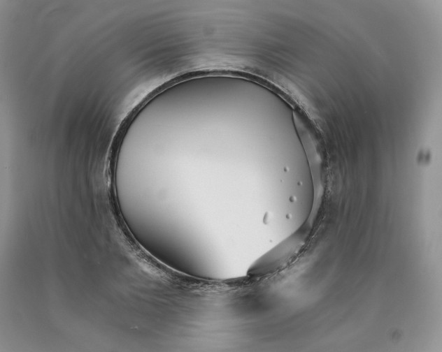 X0000089940885200707271816