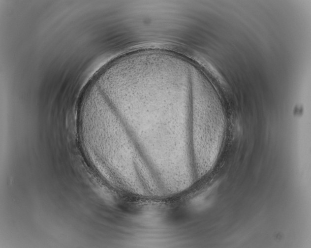 X0000089940886200707271816