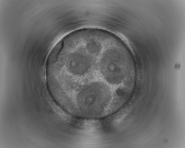 X0000089940887200707271816
