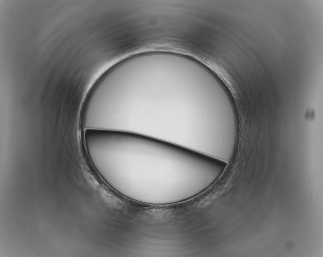 X0000089940888200707271816