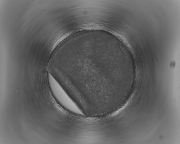 X0000089940889200707271816