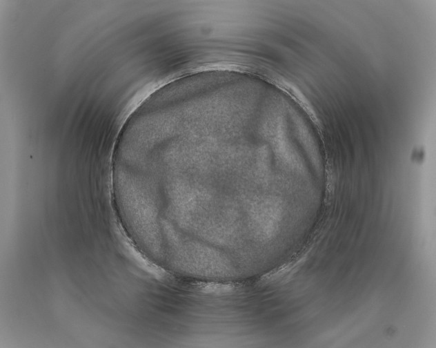 X0000089940890200707271816