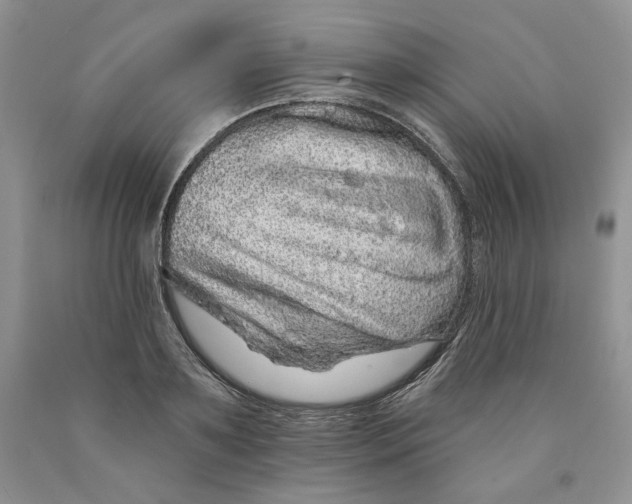 X0000089940891200707271816