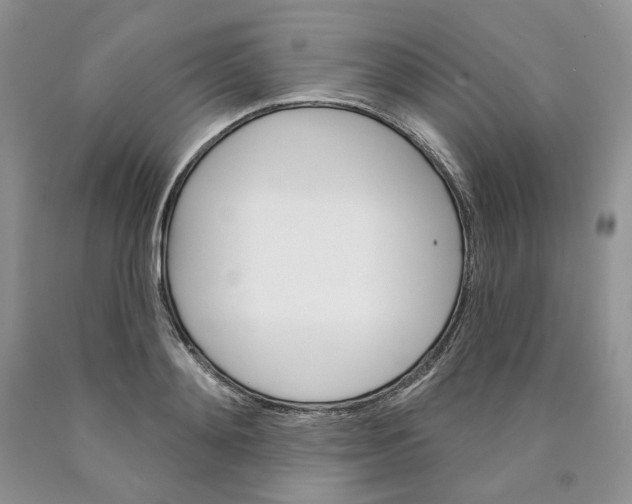 X0000089940892200707271816