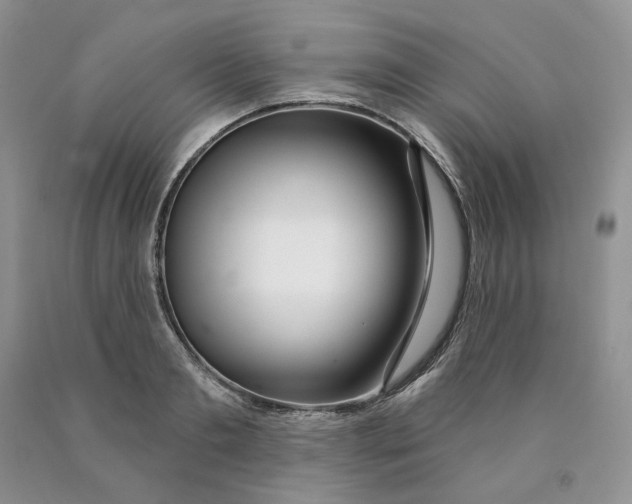 X0000089940893200707271816