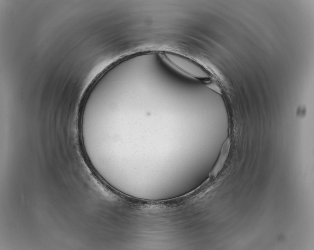 X0000089940894200707271816