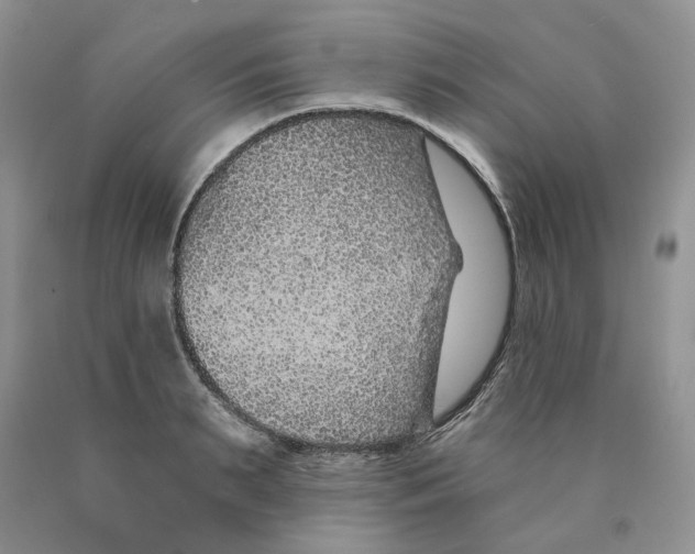 X0000089940895200707271816