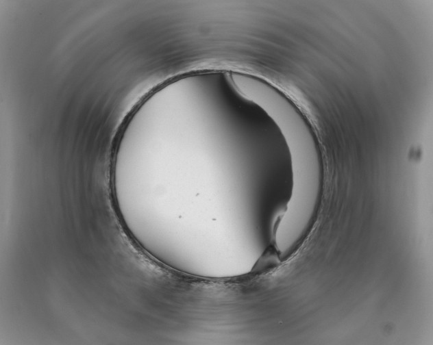 X0000089940896200707271816