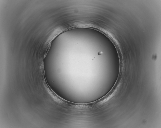 X0000089940897200707271815