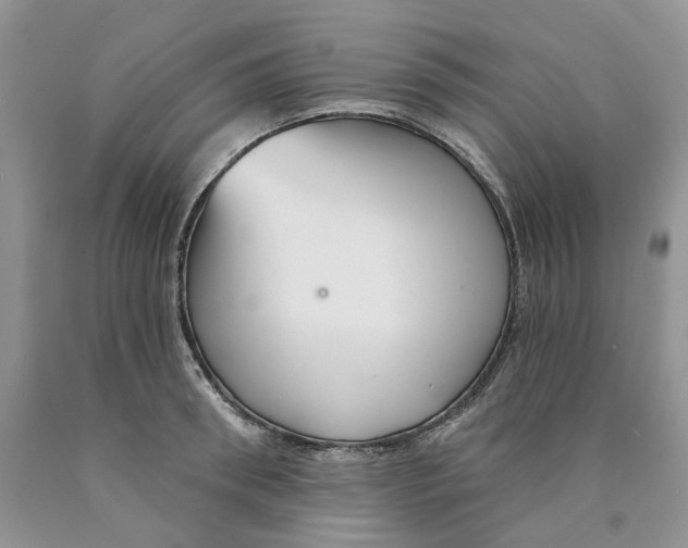 X0000089940898200707271815