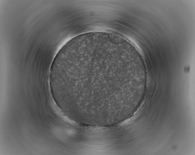 X0000089940899200707271815