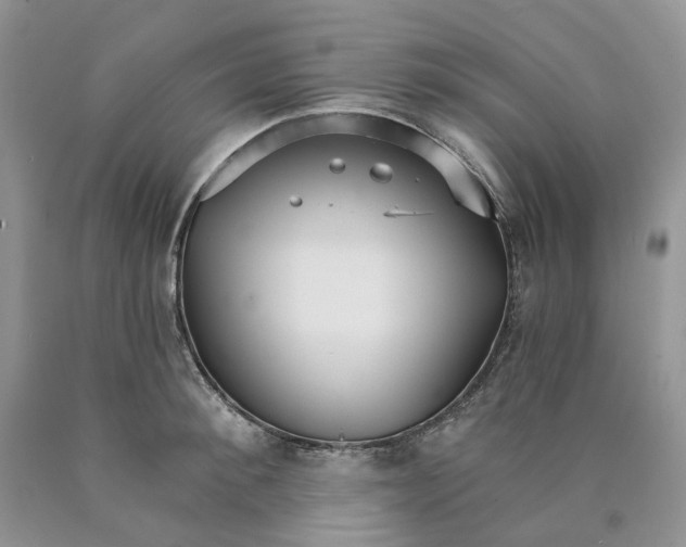X0000089940900200707271815
