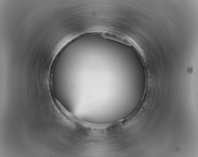 X0000089940901200707271815