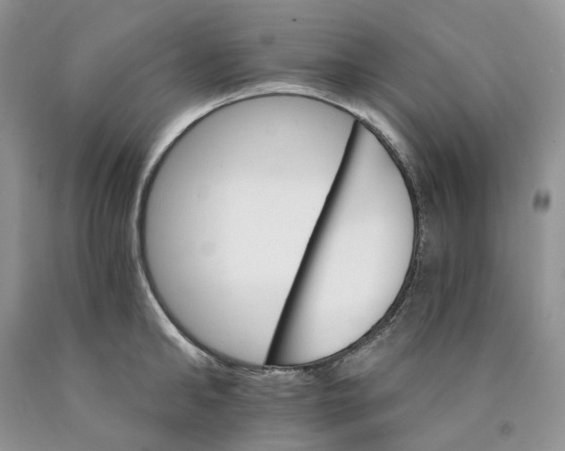 X0000089940902200707271815