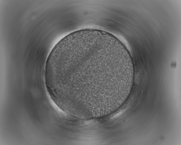 X0000089940903200707271815