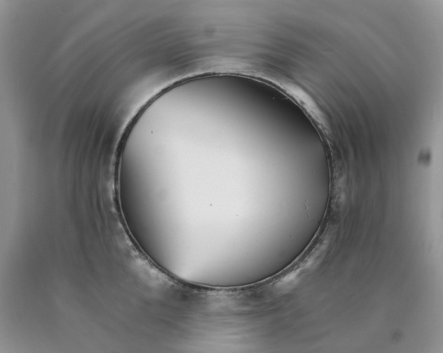 X0000089940904200707271815