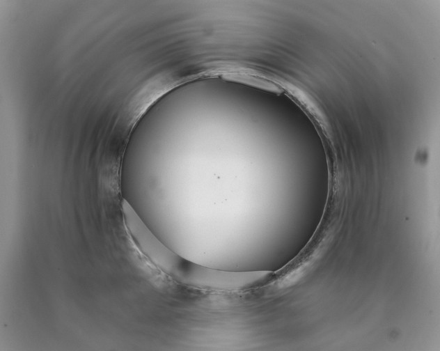 X0000089940905200707271815