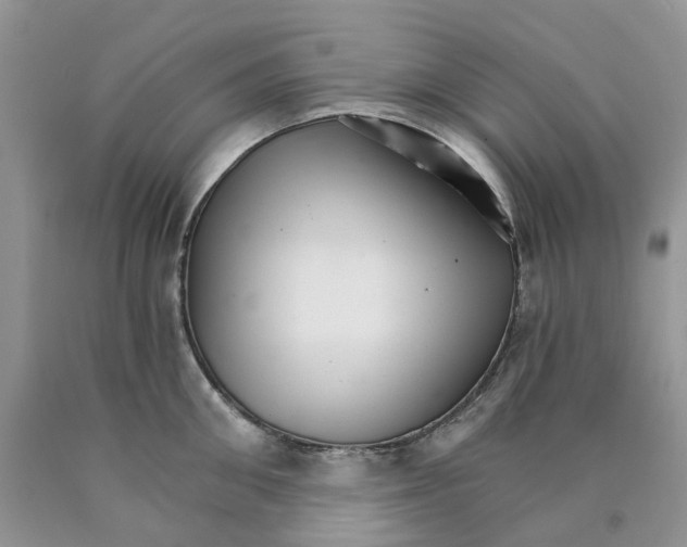 X0000089940906200707271815
