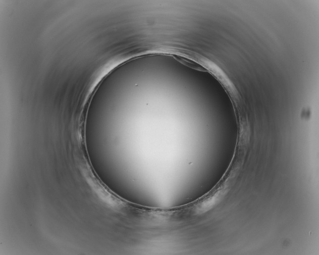 X0000089940908200707271815