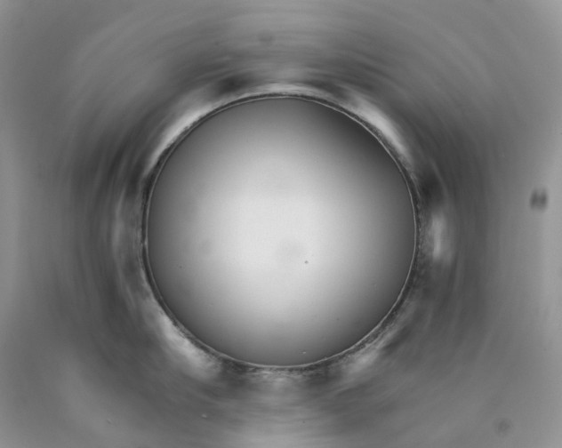 X0000089940910200707271815
