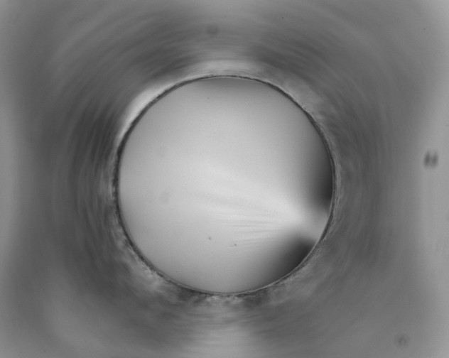 X0000089940912200707271815