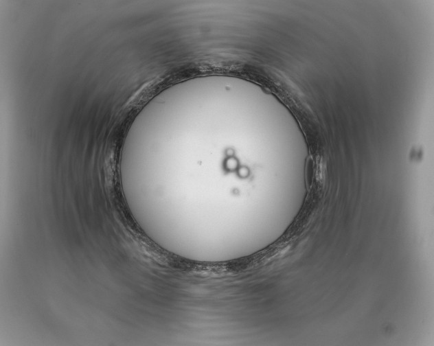 X0000089940915200707271815