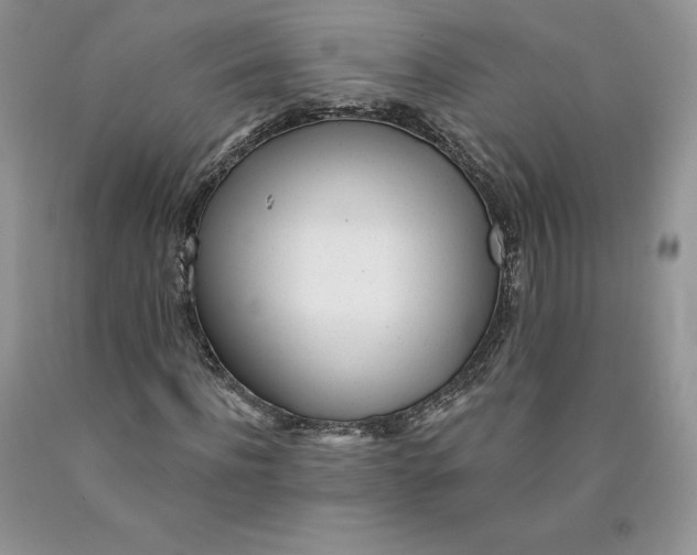 X0000089940916200707271815