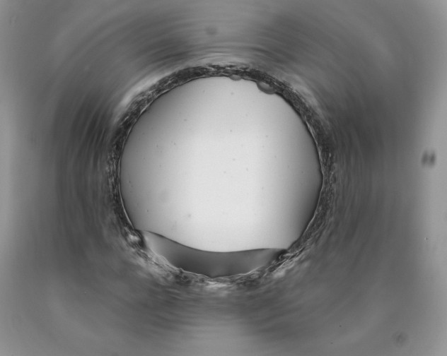 X0000089940920200707271815