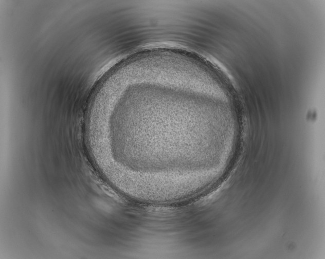 X0000089940921200707271815