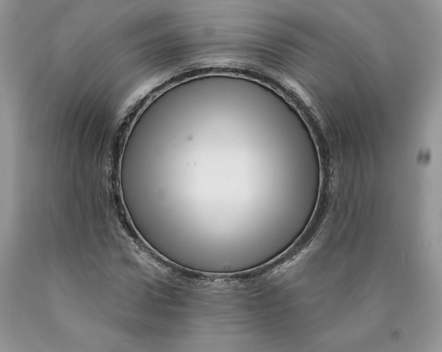 X0000089940922200707271815
