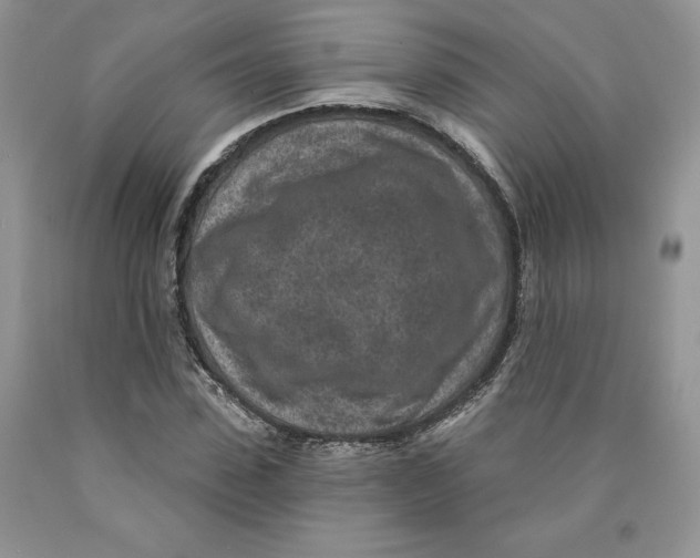 X0000089940923200707271815