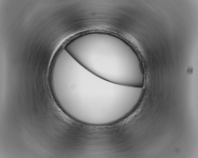 X0000089940924200707271815
