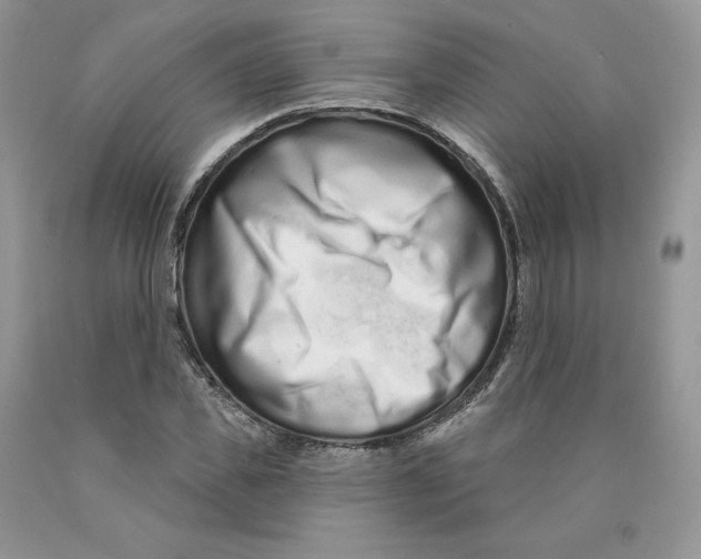 X0000089940925200707271815