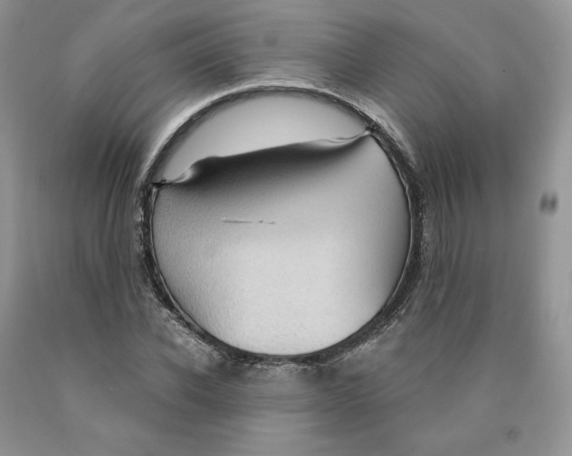 X0000089940926200707271815