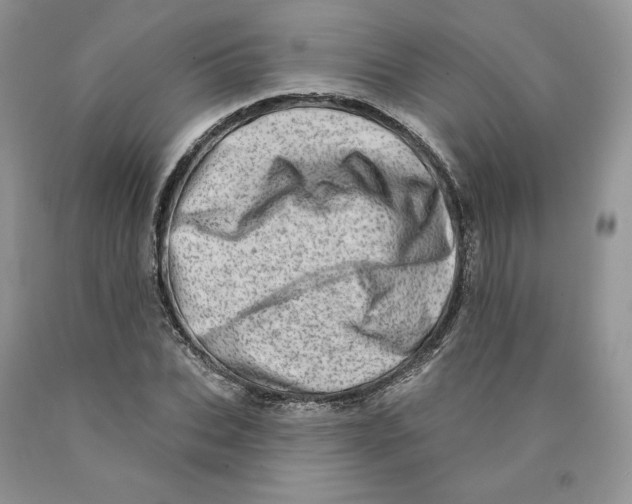 X0000089940927200707271815