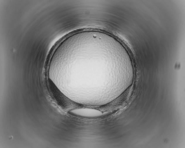 X0000089940928200707271815