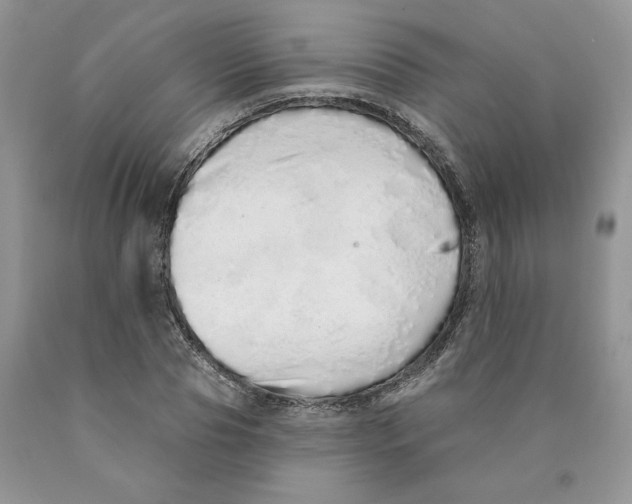 X0000089940929200707271815