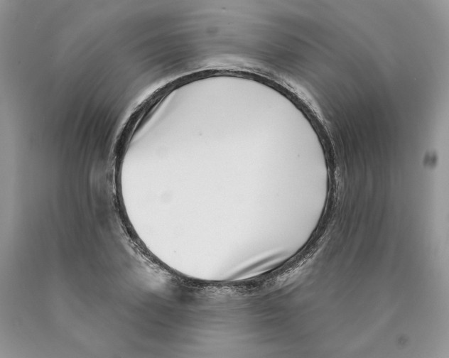 X0000089940931200707271815
