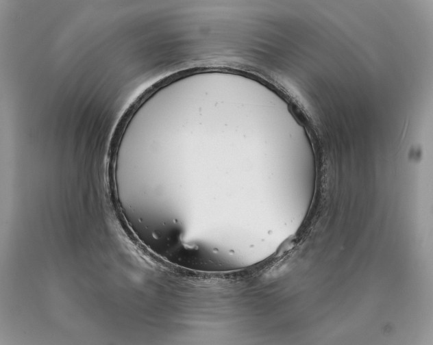 X0000089940932200707271815