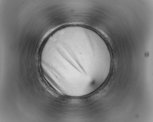 X0000089940933200707271815
