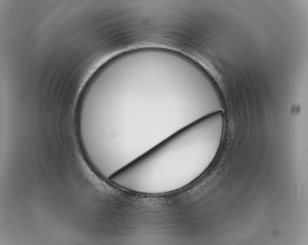 X0000089940934200707271815